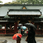 rain, tree, temple, nature, people